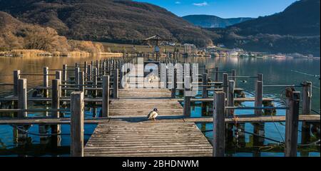 Kalterer See an der Südtiroler Weinstraße bei Bozen, Italien, Europa. Winterlandschaft Kalterer See Stockfoto