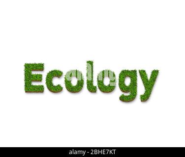 Der Text der Ökologie ist eine grüne Grasstruktur, isoliert auf weißem Hintergrund für grüne Konzepte. 3D-Darstellung. Stockfoto