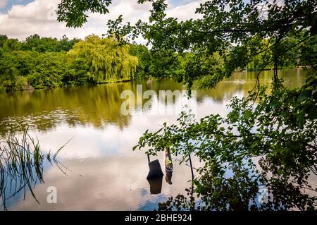 Lake at Trent Park, Enfield, London, England, Großbritannien Stockfoto