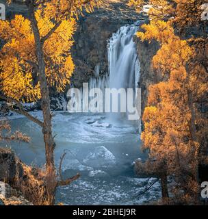 Orchon Wasserfall umgeben von herbstlich gefärbten Bäumen, Uvurkhangai Provinz, Mongolei, Asien Stockfoto