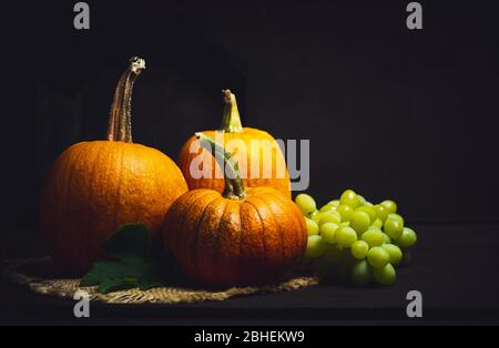 Punkins auf einem urigen Hintergrund für ein Thanksgiving Zusammenfassung Stockfoto