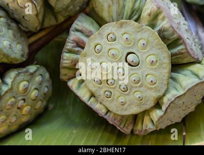 Bangkok, Thailand - 3. März 2020: Lotus Samen für den Verkauf in einem Markt in Bangkok, Thailand Stockfoto