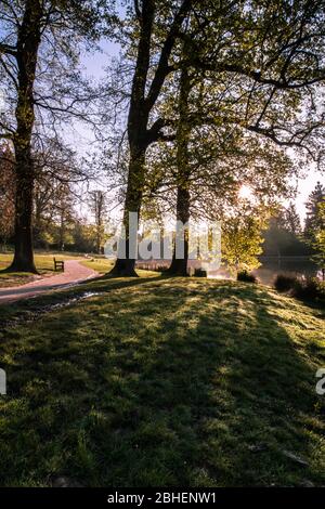 Dunorlan Park, Royal Tunbridge Wells, Kent, Sonnenaufgang im Park im April Stockfoto