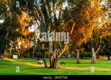 Menschen üben soziale Distanz, während sie die Natur in einem Park während der goldenen Stunde genießen. Stockfoto