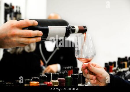 Verkostungserlebnis mit einem Glas Barolo Wein in Alba (Piemont, Italien) Stockfoto