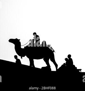 Kamelreiten bei Sonnenuntergang, in den Sanddünen von Dunhuang, Provinz Gansu, China. Stockfoto