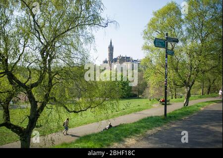 Glasgow, Großbritannien. April 2020. Im Bild: Glasgow University Tower im Hintergrund, umgeben von der wunderschönen Kirschblüte, die von den Bäumen herkommt. Szenen vom ersten Wochenende der erweiterten Sperrung des Kelvingrove Park im West End von Glasgow an einem sehr heißen und sonnigen Samstag. Quelle: Colin Fisher/Alamy Live News Stockfoto