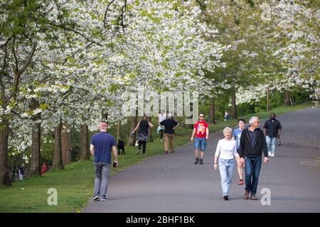 Glasgow, Großbritannien. April 2020. Im Bild: Szenen vom ersten Wochenende der erweiterten Sperrung des Kelvingrove Park im West End von Glasgow an einem sehr heißen und sonnigen Samstag. Quelle: Colin Fisher/Alamy Live News Stockfoto