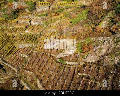 Valtellina (IT) - Luftaufnahme der Weinberge im Grumello - Herbst Stockfoto