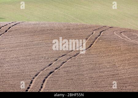 Traktorspuren führen durch ein unbepflanzter Feld. Im Hintergrund ein Feld mit grünen Pflanzen. Konzept für Landwirtschaft und Landwirtschaft. Stockfoto