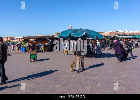 Mann mit Affe für Touristen in Jama El f’na Markt, Marrakesch, Marokko Stockfoto