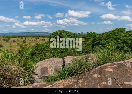 Landscape Shai Game Reserve in der Nähe von Accra, Ghana. Stockfoto
