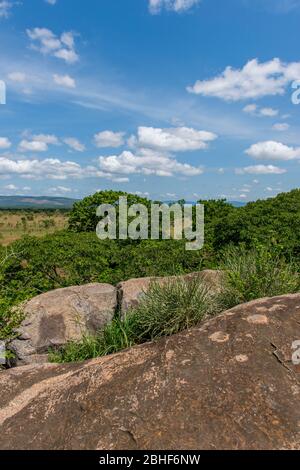 Landscape Shai Game Reserve in der Nähe von Accra, Ghana. Stockfoto