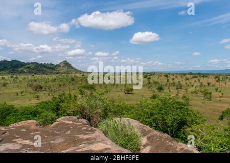 Landscape Shai Game Reserve in der Nähe von Accra, Ghana. Stockfoto