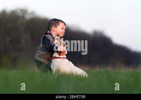 Kleines Kind in gelben Jacke mit Jack russel Terrier Welpen umarmen einander auf Frühlingsfeld bei Sonnenuntergang Zeit Stockfoto