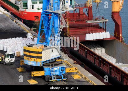 Hafen Civitavecchia, Region Latium, Italien, Europa Stockfoto