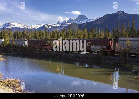 Die Canadian Pacific Freight Train Railway führt am Bow River Valley vorbei. Rocky Mountains Springtime Landscape Banff National Park Alberta Kanada Stockfoto