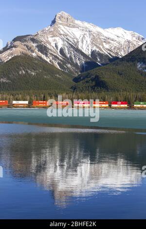 CP Railway Freight Train vorbei an den Ausläufern der kanadischen Rockies in Alberta mit Snowy Mountain Peaks, die sich im ruhigen Wasser des Gap Lake widerspiegeln Stockfoto