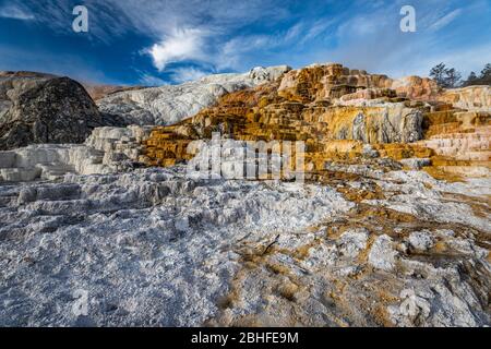 Mammoth Hot Spring im Yellowstone National Park in Wyoming. Stockfoto