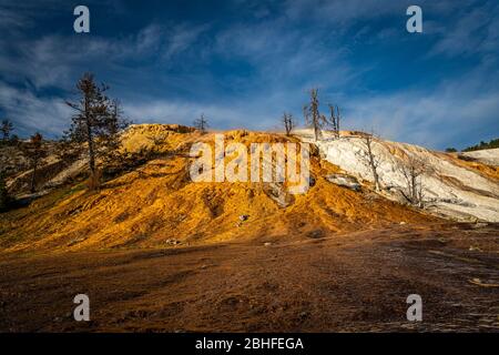 Mammoth Hot Spring im Yellowstone National Park in Wyoming. Stockfoto