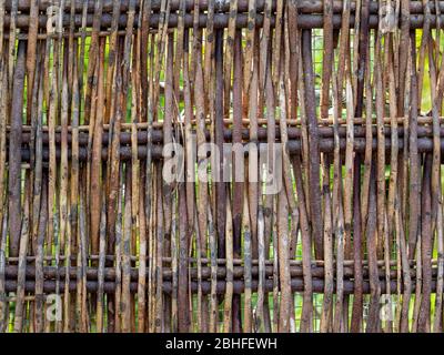 Holzzweig mit wattendem Zaun. Rustikaler Hintergrund. Stockfoto