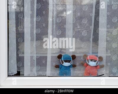 BIDEFORD, DEVON, UK - APRIL 24 2020: Gestrickte Teddybären mit Schutzmasken gegen Coronavirus, im Fenster. Stockfoto