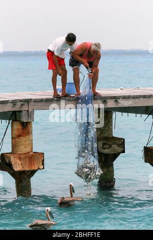 Zwei Personen fischen mit Netzen am Pier in Cancun, Mexiko Stockfoto