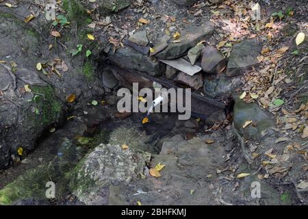 Ein Schlauch in die Feder für die Bequemlichkeit eines Satzes von Trinkwasser eingesetzt. Schapsug-Wald, Schapsugskaya-Dorf. Stockfoto