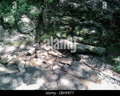 Ein Schlauch in die Feder für die Bequemlichkeit eines Satzes von Trinkwasser eingesetzt. Schapsug-Wald, Schapsugskaya-Dorf. Stockfoto