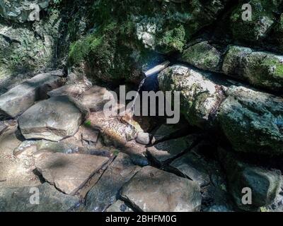 Ein Schlauch in die Feder für die Bequemlichkeit eines Satzes von Trinkwasser eingesetzt. Schapsug-Wald, Schapsugskaya-Dorf. Stockfoto