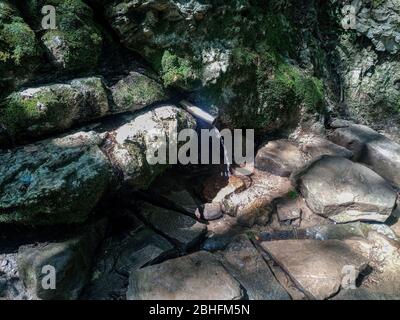 Ein Schlauch in die Feder für die Bequemlichkeit eines Satzes von Trinkwasser eingesetzt. Schapsug-Wald, Schapsugskaya-Dorf. Stockfoto