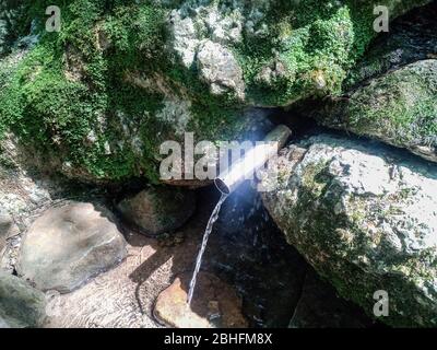 Ein Schlauch in die Feder für die Bequemlichkeit eines Satzes von Trinkwasser eingesetzt. Schapsug-Wald, Schapsugskaya-Dorf. Stockfoto