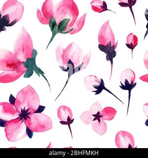 Sakura Blumen und Kirschblüten Blumenmuster auf weißem Hintergrund, Aquarell rosa Blütenblätter Dekoration Design. Nahtlose Kirschblüten Sakura rosa Blüten Muster in Vintage Rouge Aquarell Stockfoto