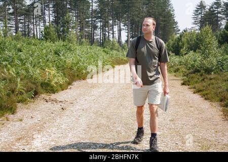 Mann wandern alleine mit Karte in englischer Landschaft. New Forest, Hampshire, Großbritannien Stockfoto