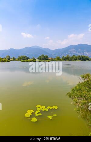 Naturschutzgebiet Sebino (italienisch: Riserva Naturale Torbiere del Sebino) in der Nähe von Iseo, Provinz Brescia, Lombardei , Italien Stockfoto