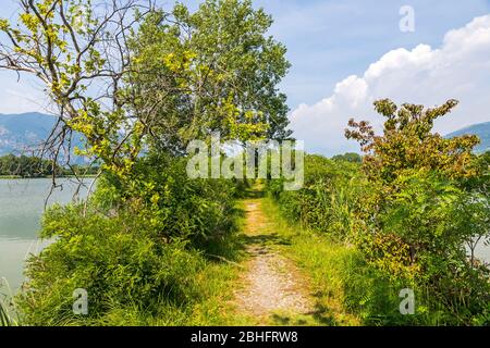 Naturschutzgebiet Sebino (italienisch: Riserva Naturale Torbiere del Sebino) in der Nähe von Iseo, Provinz Brescia, Lombardei , Italien Stockfoto