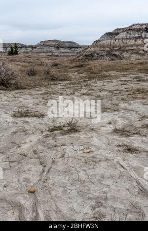 Blick auf den beliebten Horseshoe Canyon im späten Frühjahr, Canadian Badlands im Sommer, Drumheller, Alberta, Kanada Stockfoto