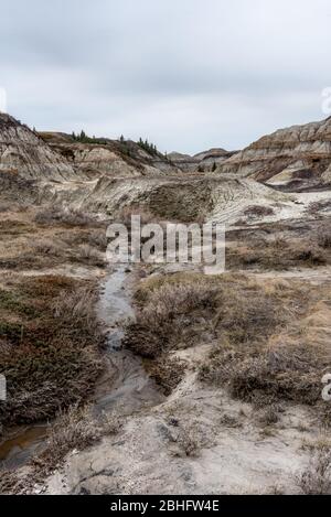 Blick auf den beliebten Horseshoe Canyon im späten Frühjahr, Canadian Badlands im Sommer, Drumheller, Alberta, Kanada Stockfoto