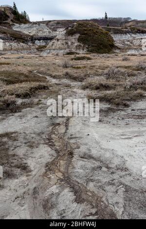 Blick auf den beliebten Horseshoe Canyon im späten Frühjahr, Canadian Badlands im Sommer, Drumheller, Alberta, Kanada Stockfoto