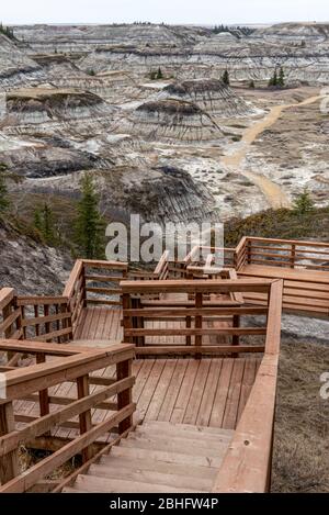 Blick auf den beliebten Horseshoe Canyon im späten Frühjahr, Canadian Badlands im Sommer, Drumheller, Alberta, Kanada Stockfoto