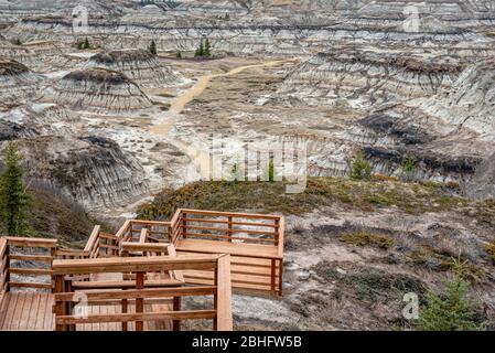 Blick auf den beliebten Horseshoe Canyon im späten Frühjahr, Canadian Badlands im Sommer, Drumheller, Alberta, Kanada Stockfoto