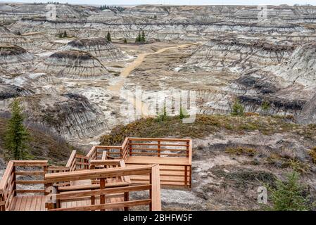 Blick auf den beliebten Horseshoe Canyon im späten Frühjahr, Canadian Badlands im Sommer, Drumheller, Alberta, Kanada Stockfoto