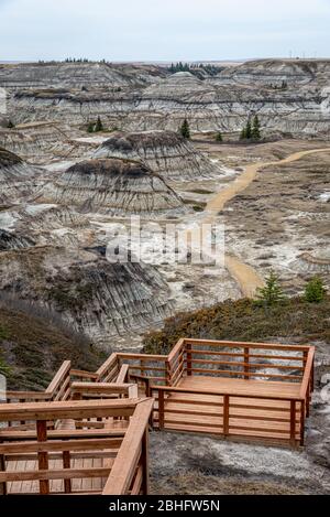 Blick auf den beliebten Horseshoe Canyon im späten Frühjahr, Canadian Badlands im Sommer, Drumheller, Alberta, Kanada Stockfoto