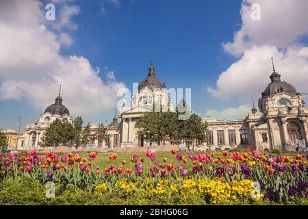 Budapest Ungarn, Skyline der Stadt im Szechenyi Thermalbad Stockfoto