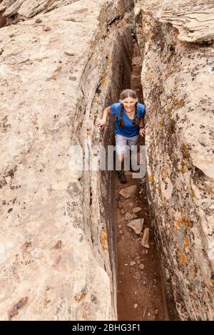 UT00513-00...UTAH - Vicky Spring auf dem Holly Trail im Hovenweep National Monument durch die engen Wengen. Stockfoto