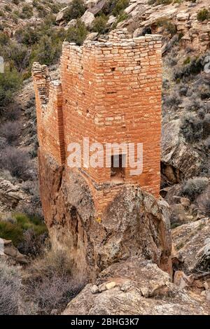 UT00518-00...UTAH/Colorado - Ahnengalerie Pueblo Volk Struktur am Holly Site in Hovenweep National Monument. Stockfoto