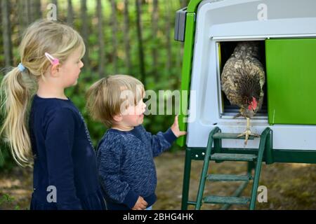 Kassel, Deutschland. April 2020. Amelie (l.) und Louie beobachten, wie ein gemietetes Huhn den Stall verlässt. Drei Wochen lang lebten die Hühner im Garten der Familie Rassek am Stadtrand von Kassel. In Hessen gibt es seit mehreren Jahren gemietete Hühner. Das Prinzip: Für eine bestimmte Summe Geld können Kindergärten, Seniorenheime oder Privatpersonen eine kleine Gruppe von Hühnern in den Garten holen. (Zu Korr Bericht 'Henne mit Haus zu vermieten - Corona Krise feuert Hühnervermietung') Quelle: Uwe Zucchi/dpa/Alamy Live News Stockfoto