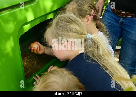 Kassel, Deutschland. April 2020. Die Kinder der Familie Rassek bekommen die gemieteten Hühner aus der mobilen Scheune. Drei Wochen lang lebten die Hühner im Garten der Familie Rassek am Stadtrand von Kassel. In Hessen gibt es seit mehreren Jahren gemietete Hühner. Das Prinzip: Kindergärten, Altenheime oder Privatpersonen können für eine gewisse Geldsumme eine kleine Gruppe von Hühnern in den Garten bringen. (Zu Korr Bericht 'Henne mit Haus zu vermieten - Corona Krise feuert Hühnervermietung') Quelle: Uwe Zucchi/dpa/Alamy Live News Stockfoto