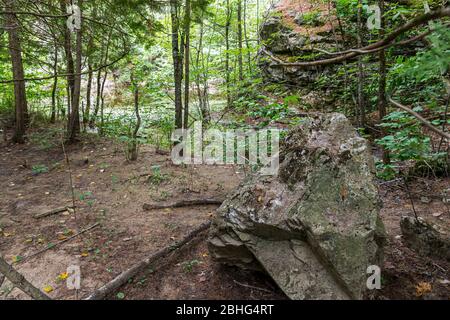 Egan Chutes Provincial Park Bancroft Algonquin Highlands Ontario Kanada in Sommer Stockfoto