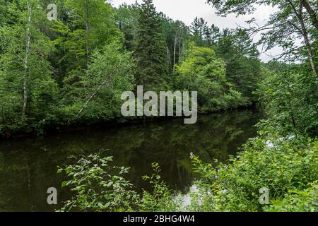 Egan Chutes Provincial Park Bancroft Algonquin Highlands Ontario Kanada in Sommer Stockfoto